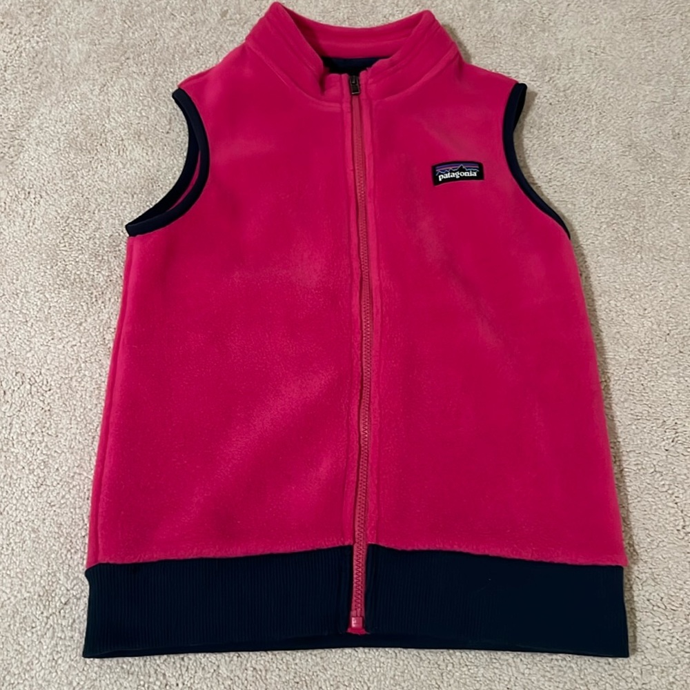 Patagonia Toddler Synchilla Fleece Vest